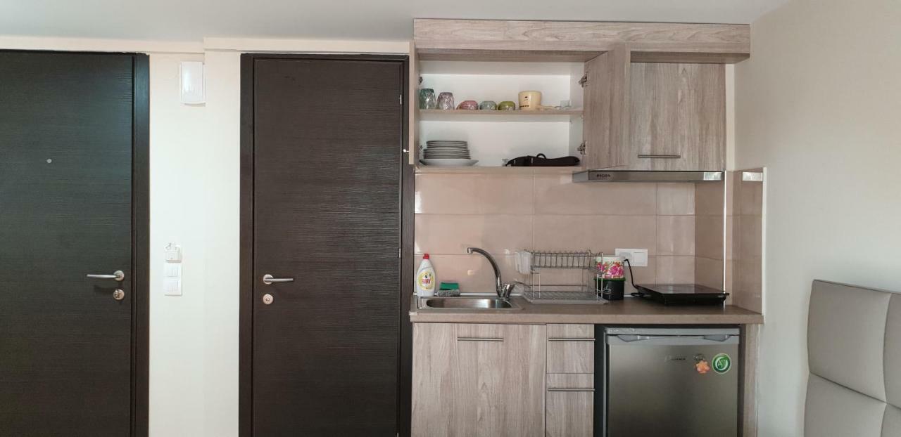 Apartment Radosevic Olympiaki Akti Bagian luar foto